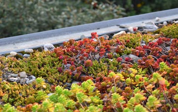 the cost of Blackwater green roof installation