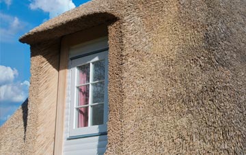Blackwater thatch roof disadvantages