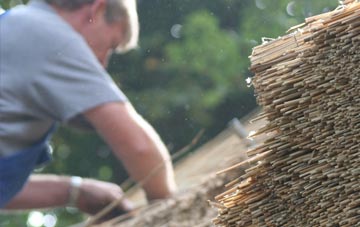 professional Blackwater thatchers