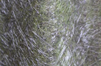 Blackwater fibreglass roof work